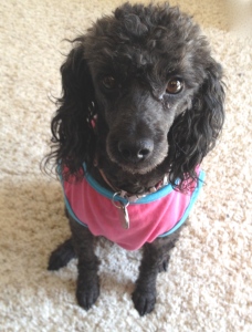 Rigby rocking her pink T-shirt.