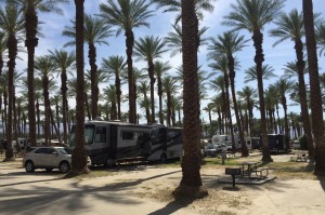 The Big Rig tucked into the palms.