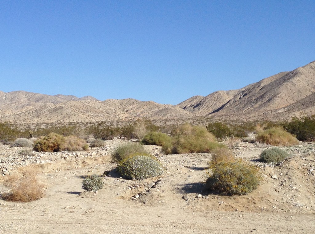 Desert Hot Springs 