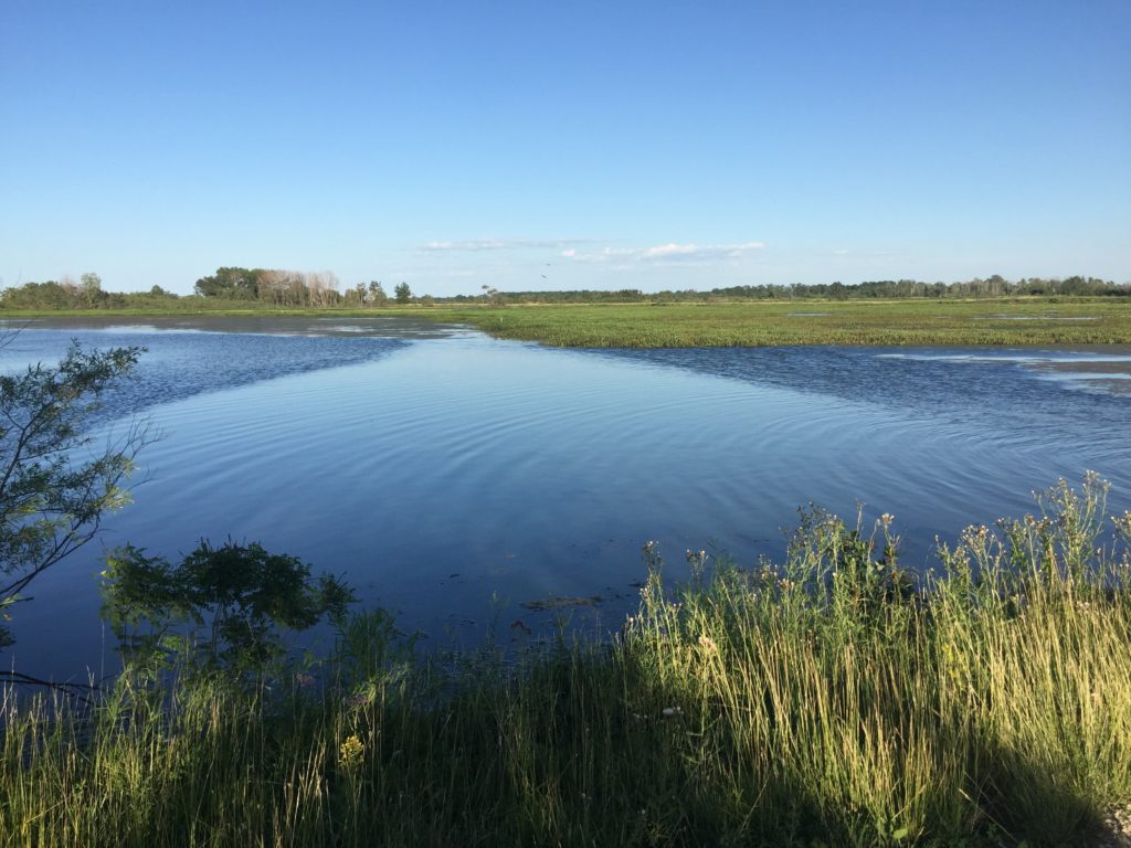 Ottawa Wildlife Refuge