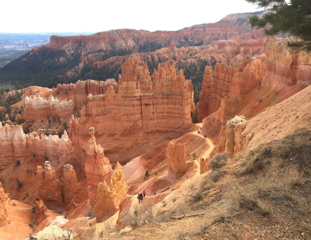 Hoodoos in Bryce Canyon Utah