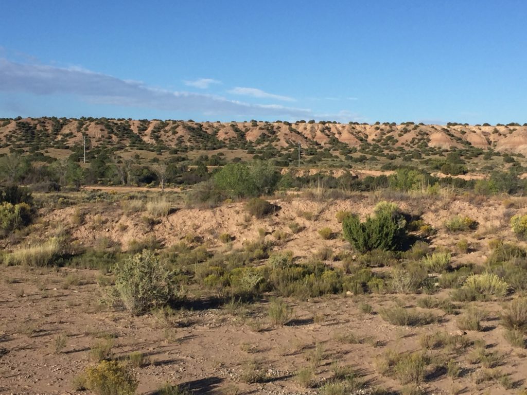 Beauty surrounding Roadrunner RV Park NM