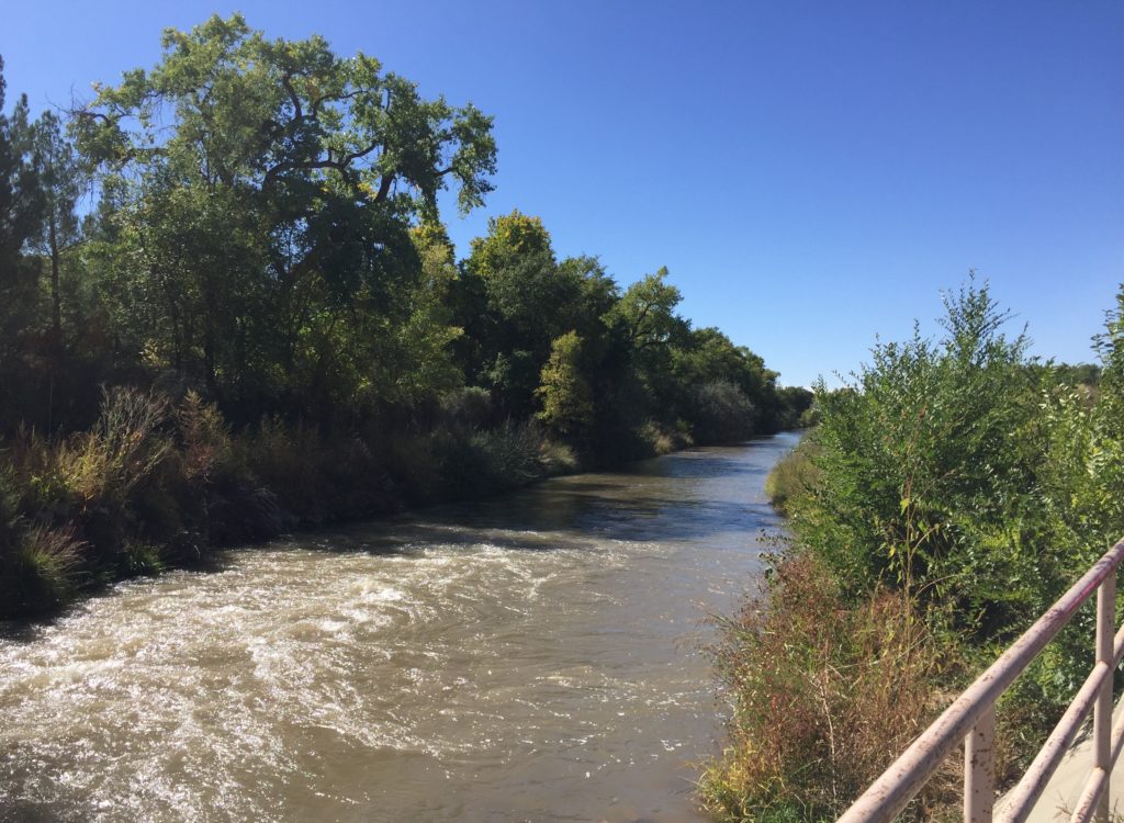 Rio Grande River in ABQ, NM
