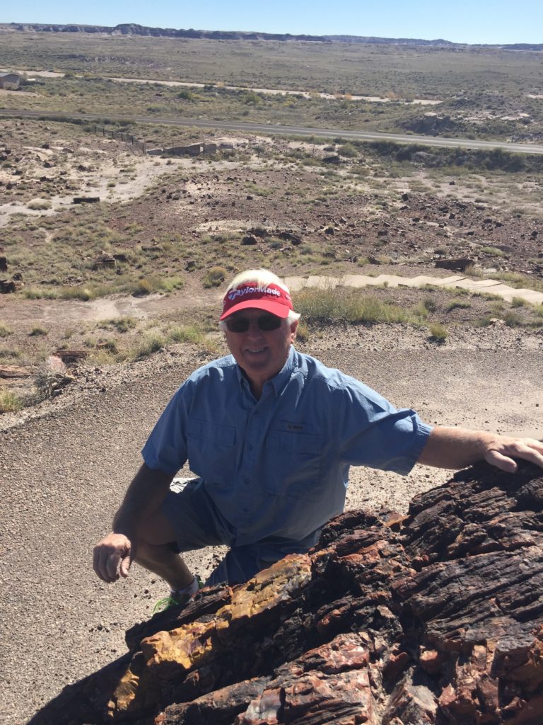 Other Half and gigantic petrified log