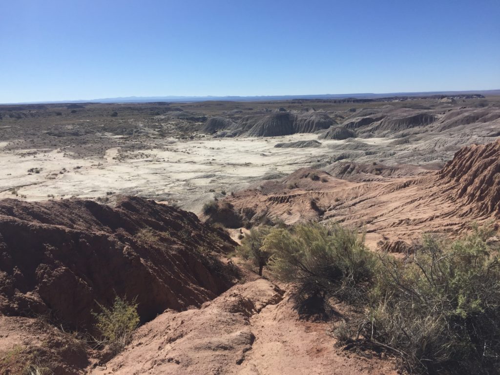 Prehistoric Landscape