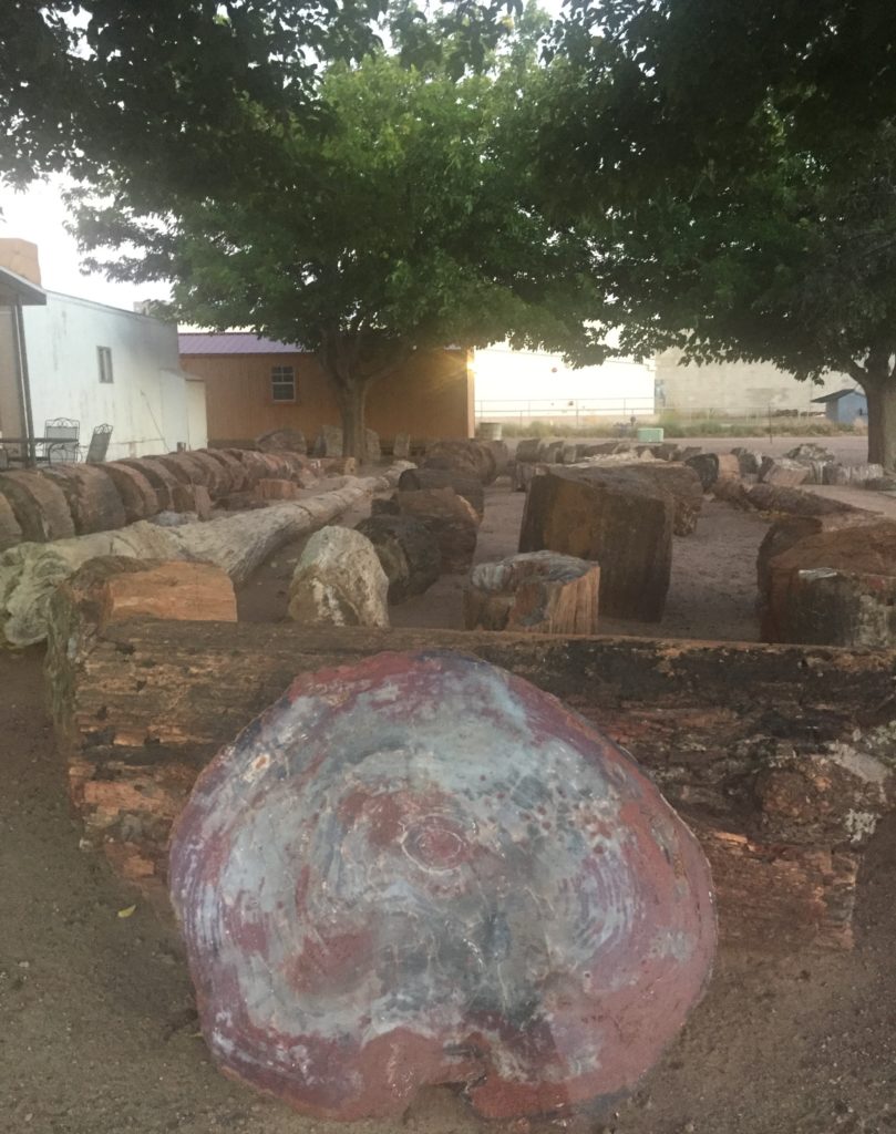 Petrified wood at OK RV Park