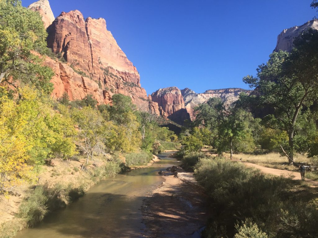 Zion hiking trail