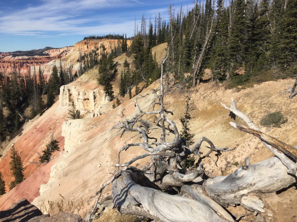 Cedar Breaks National Mounument