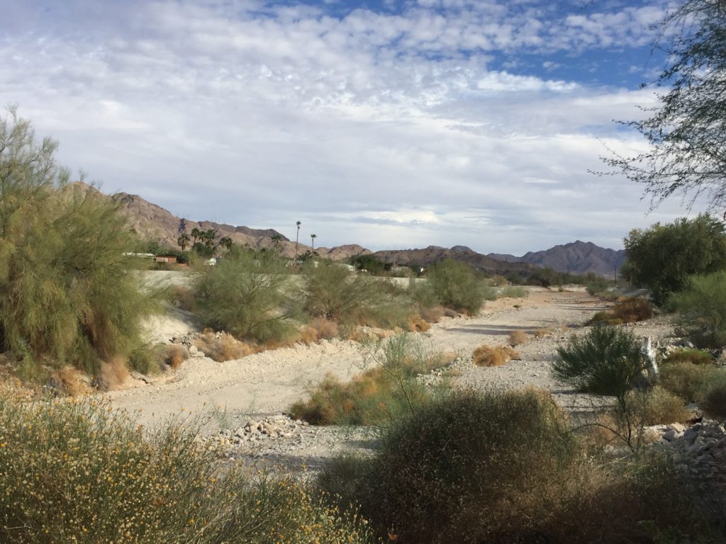 Yuma AZ Desert