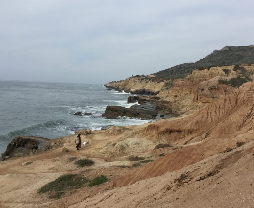 Shoreline at Cabrillo Monument