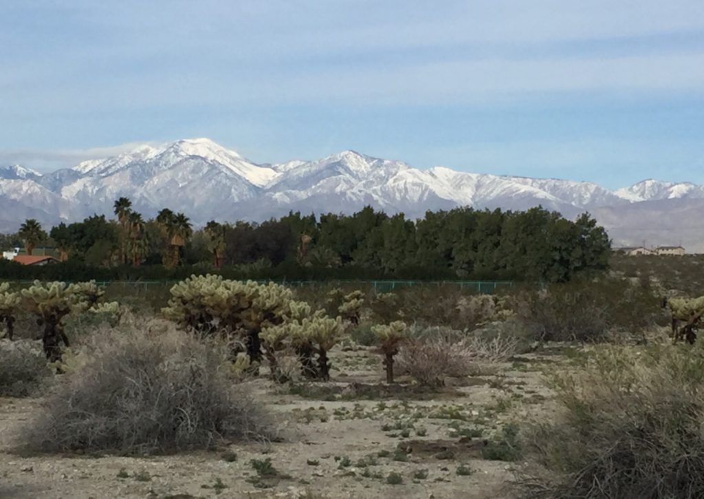 Loving the desert views