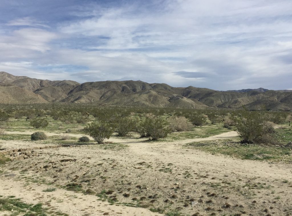 Desert surrounding Caliente Springs