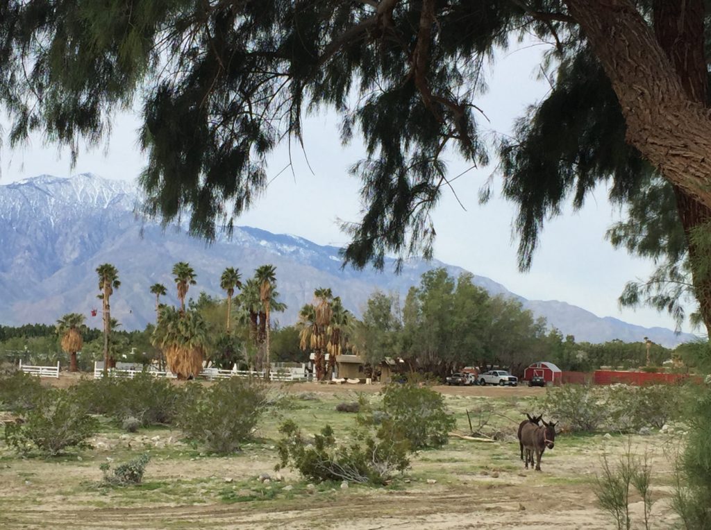 View from Caliente Springs